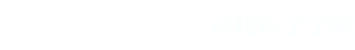 999全讯白菜网